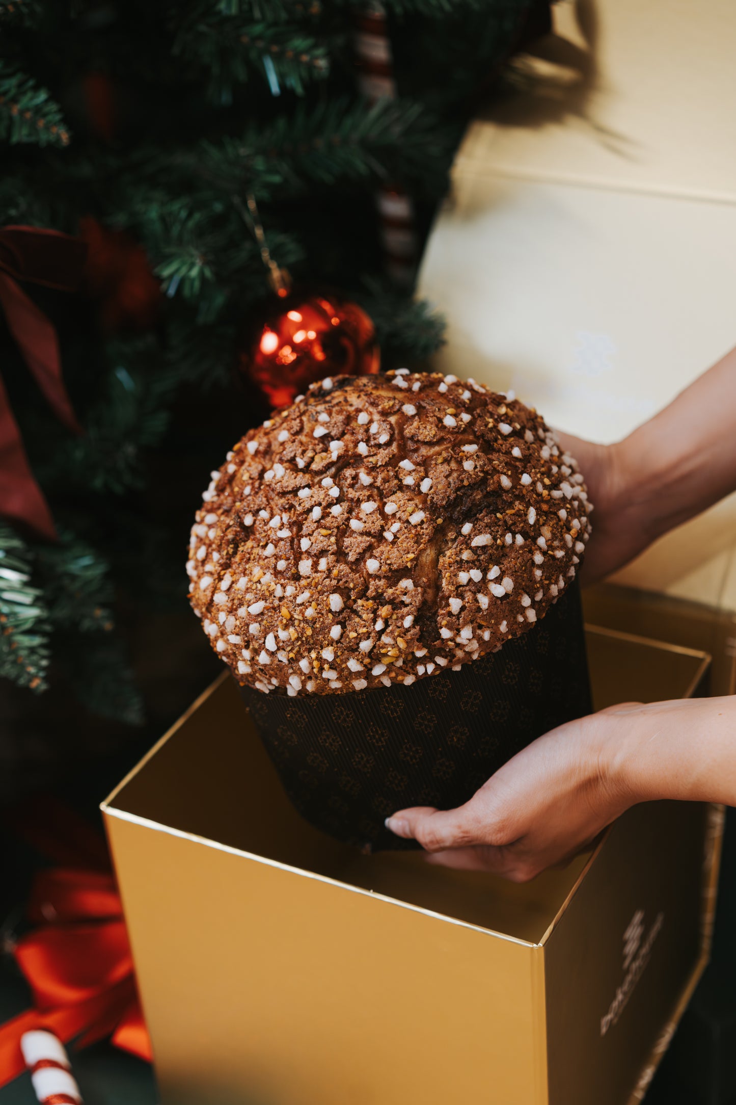 Classic Panettone (750g)
